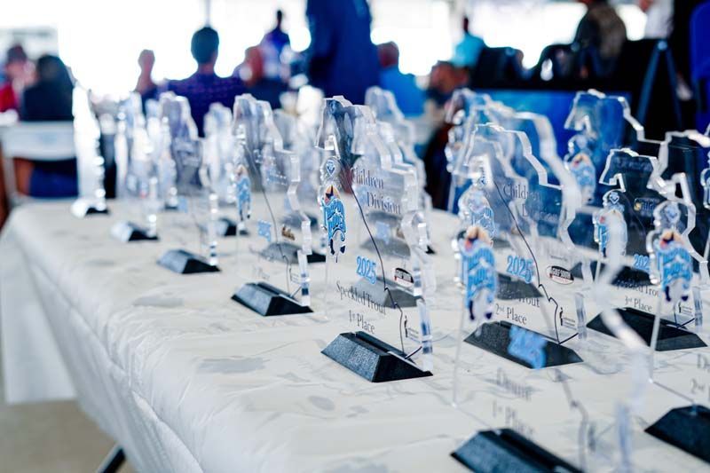 A table with a lot of trophies on it