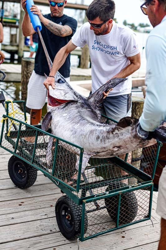A man is carrying a large fish on a cart.
