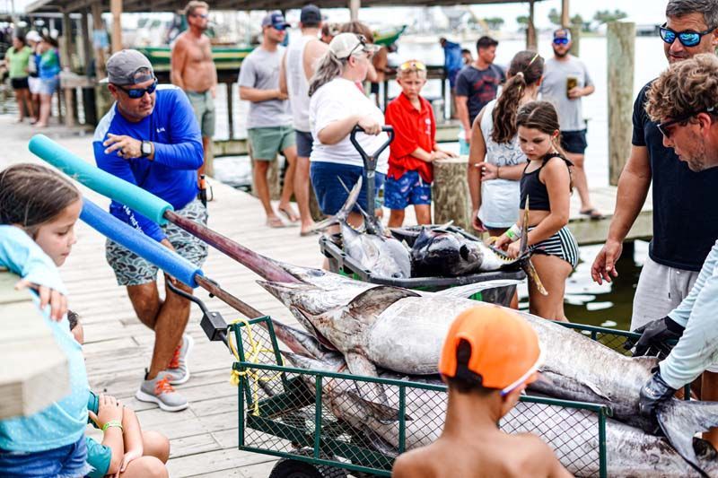 A group of people are carrying a large fish on a cart.