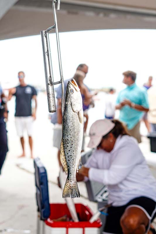 A fish is hanging from a hook in front of a group of people