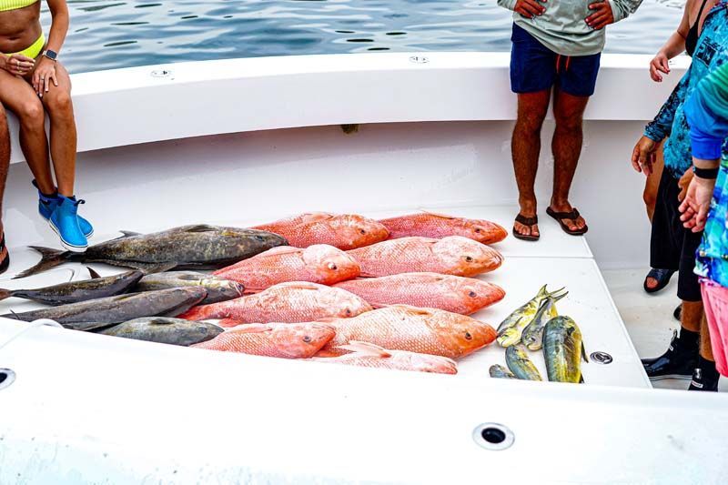 A group of people are standing around a pile of fish on a boat.