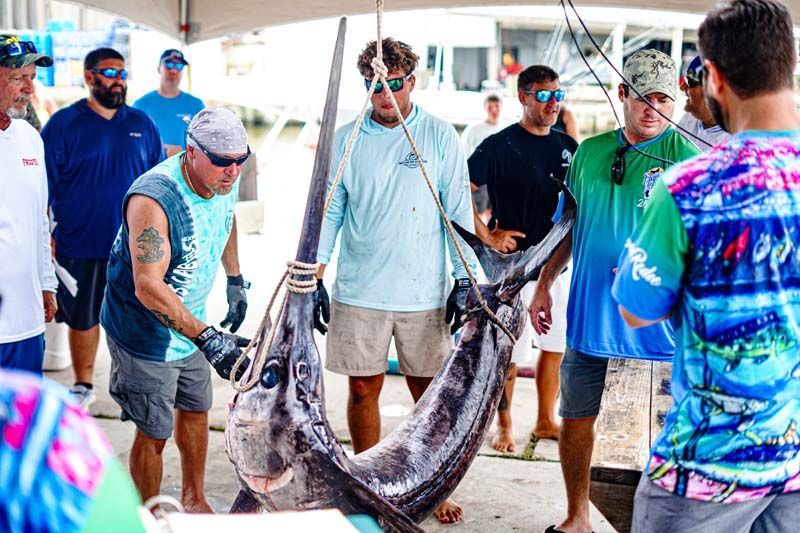A group of men are standing around a large fish.