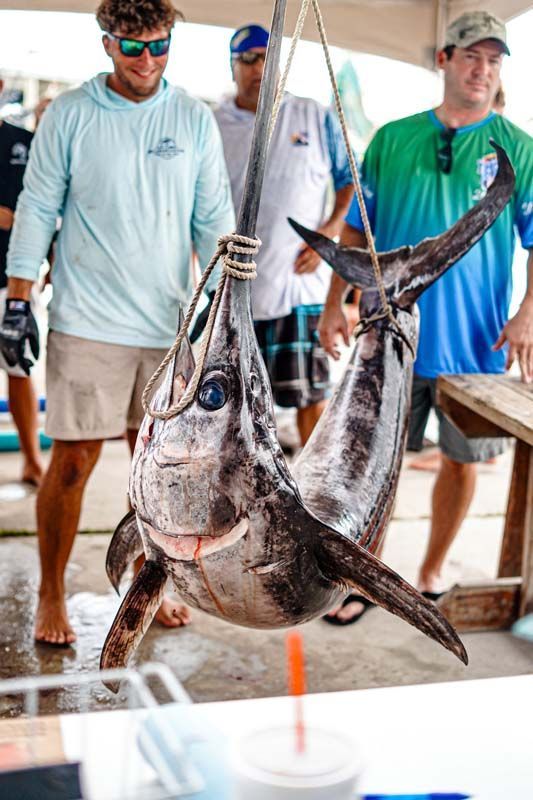 A group of men are standing around a large fish hanging from a rope.
