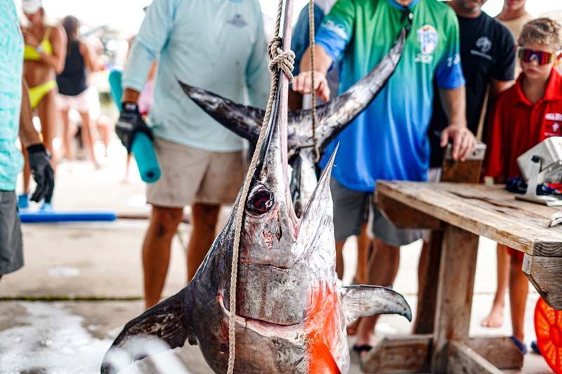 A group of people are standing around a large fish hanging from a rope.