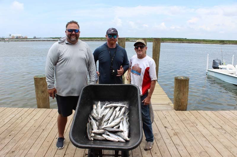 Three men are standing on a dock next to a wheelbarrow filled with fish.