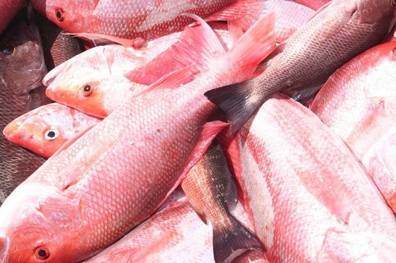 A bunch of red fish are sitting on top of each other on a table.
