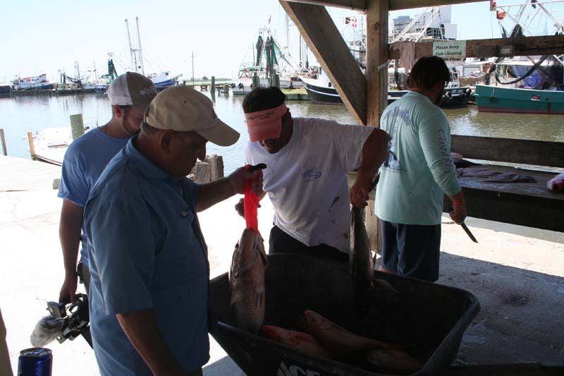 A group of men are standing around a wheelbarrow full of fish