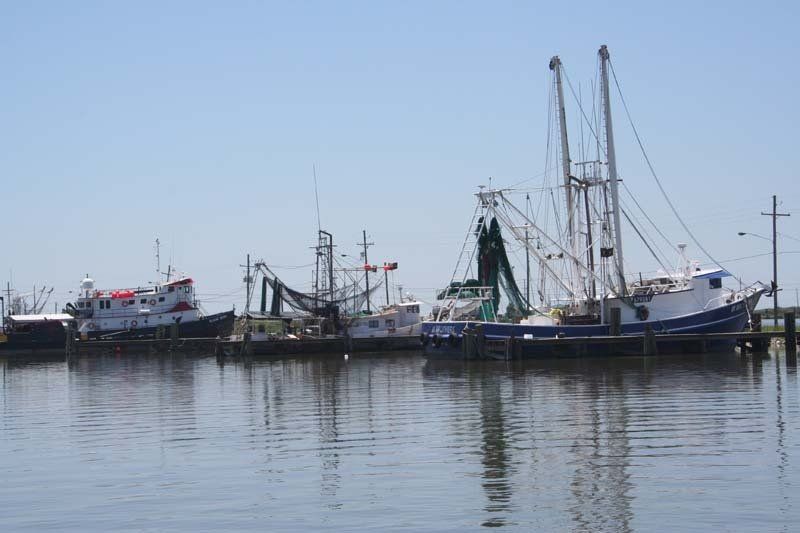 A group of boats are docked in a harbor.