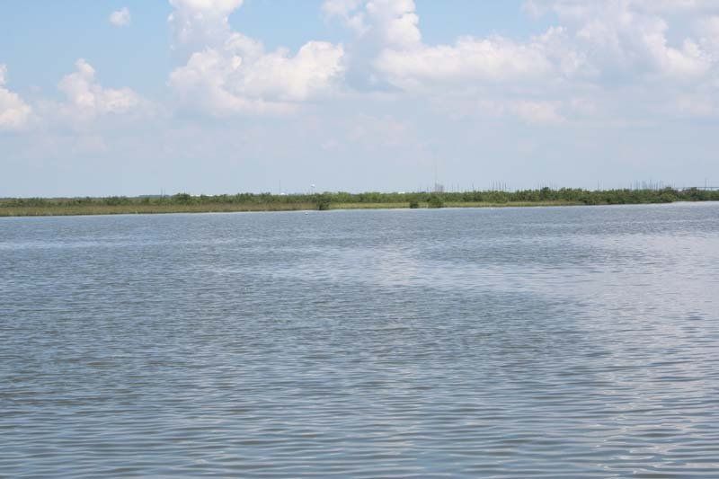 A large body of water with trees on the shore and a cloudy sky in the background.