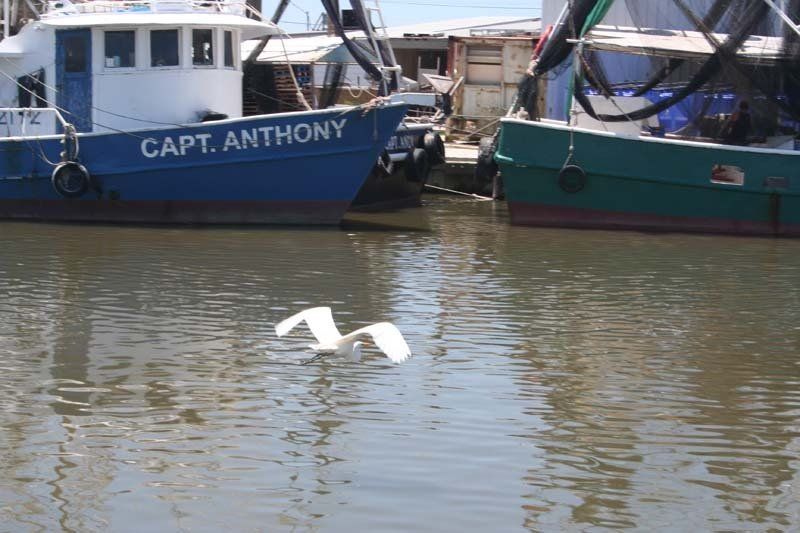 A boat with the name capt. anthony on it