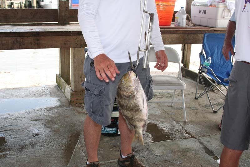 A man in a white shirt is holding a large fish