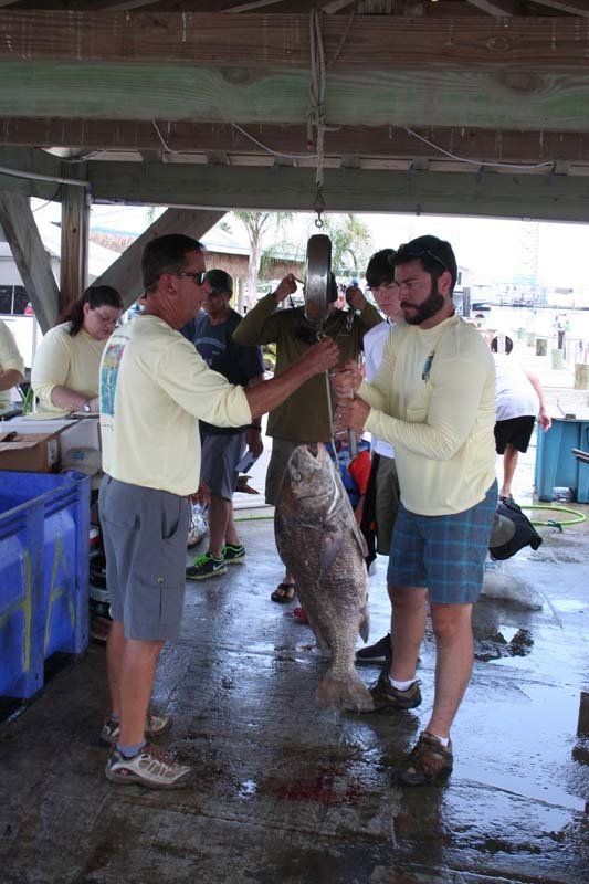 A group of men are standing around a large fish