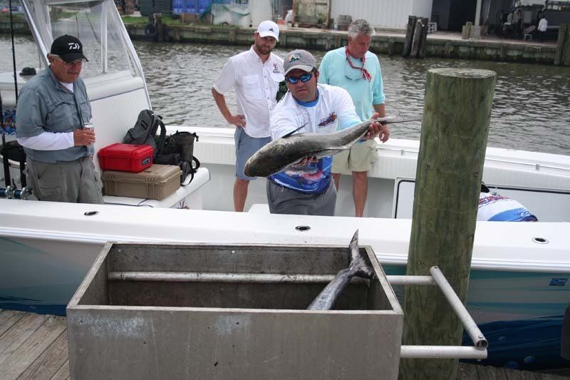 A man is holding a fish in front of a boat