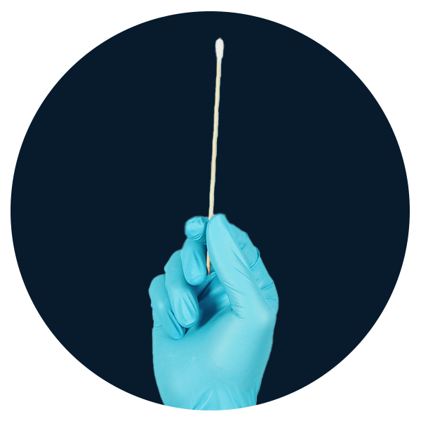 Prueba de papilomavirus PCR para verrugas genitales