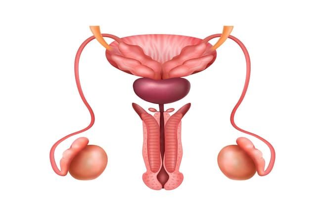 Síntomas de la uretritis masculina
