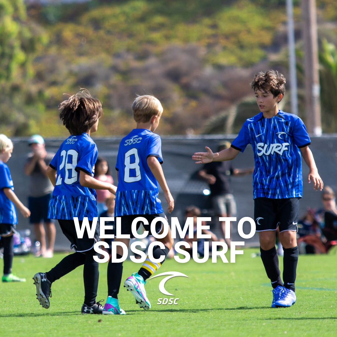 SDSC Surf