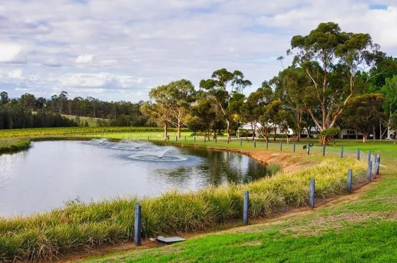 Lake With Grass — Jamac Cleaning Services in Chisholm, NSW