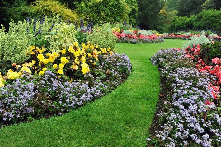 Landscape Design and Installation