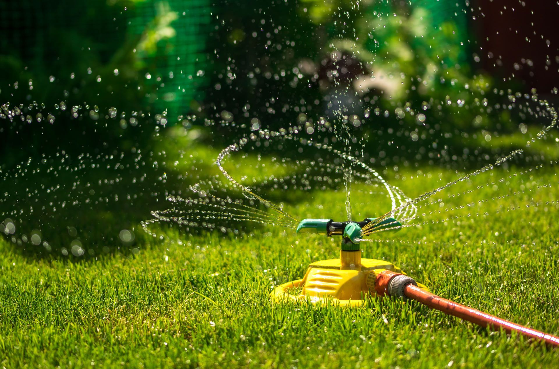 A yellow and green rotating lawn sprinkler sprays water over a lush green garden on a sunny day.