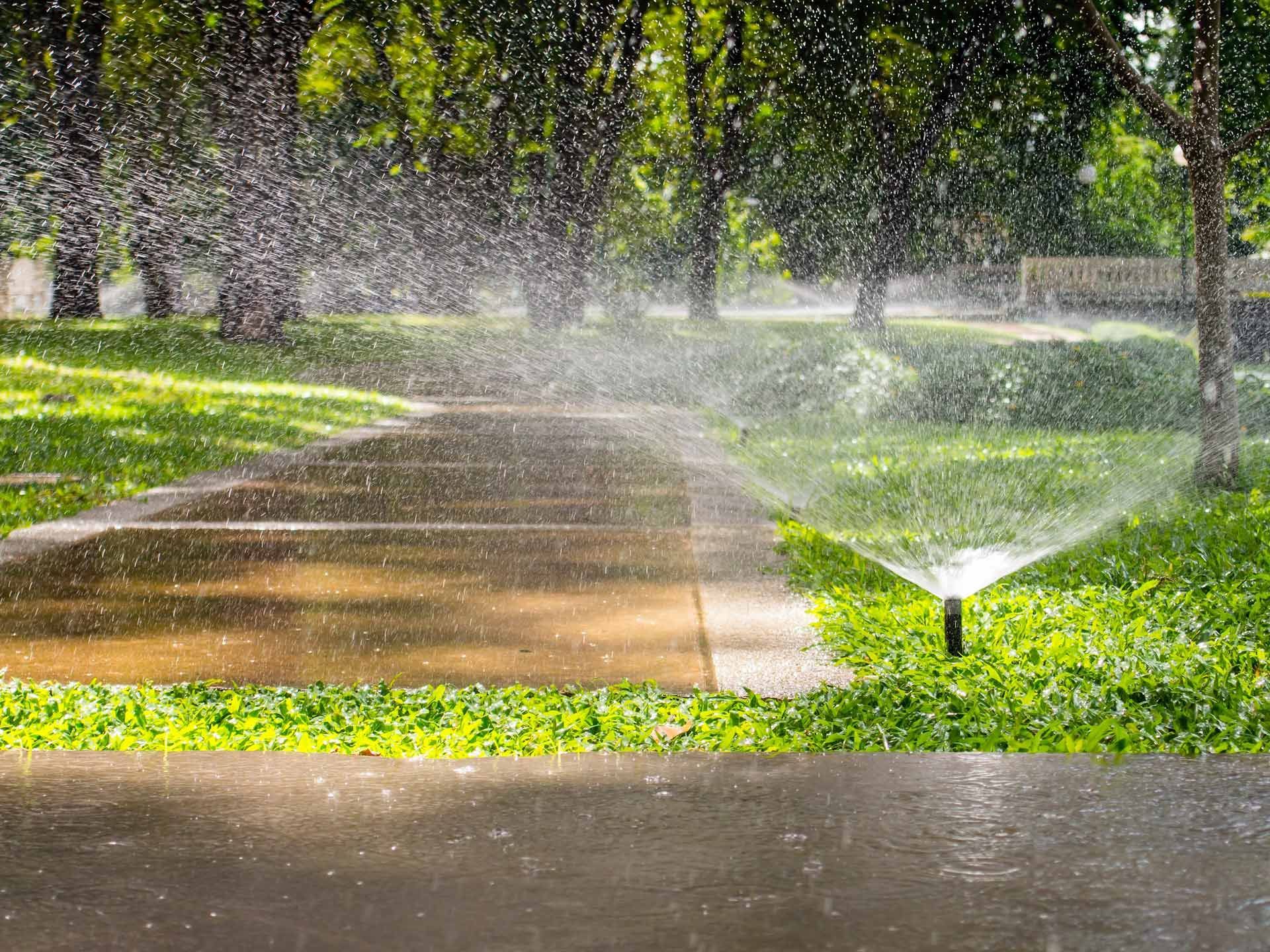 A sprinkler is spraying water on a sidewalk in a park.