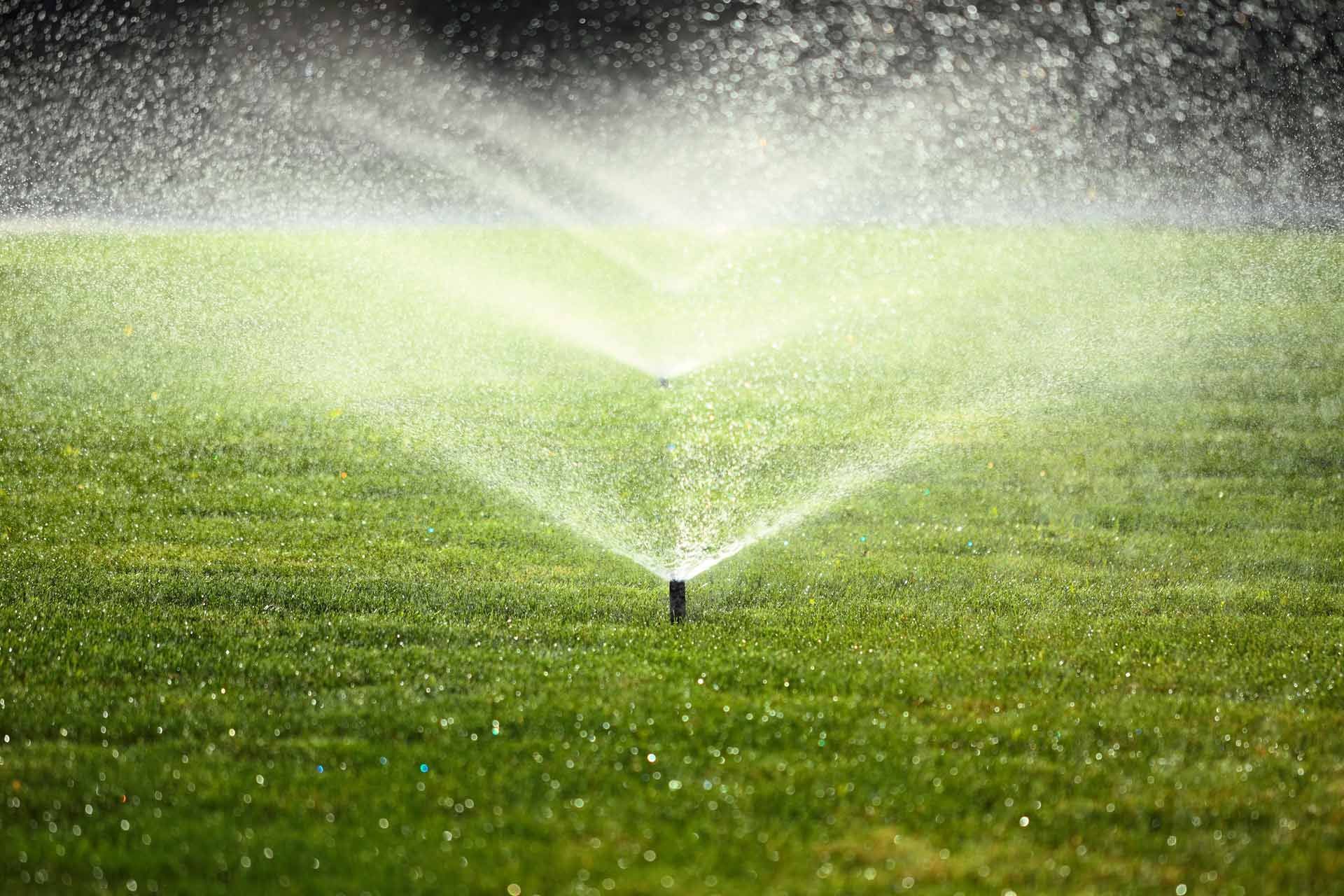 A lawn sprinkler spraying a fine mist of water over a lush green grass field.