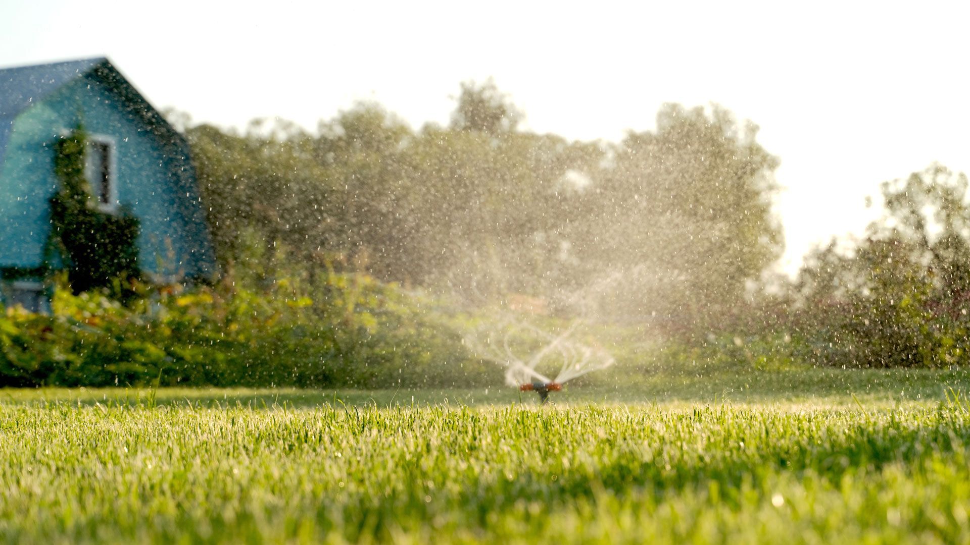 A garden sprinkler waters a green lawn in front of a house, with sunlight creating a misty glow over the grass.