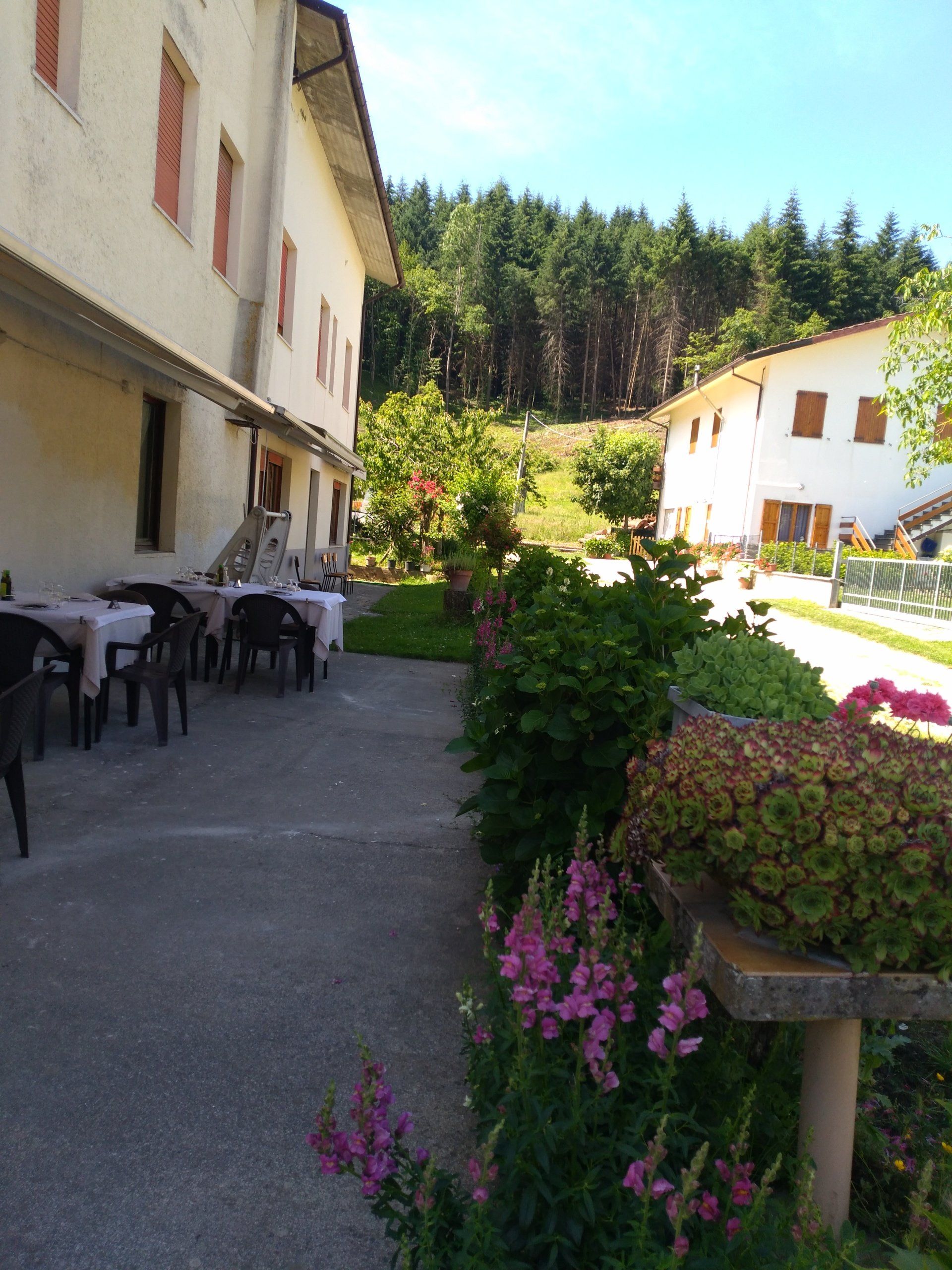 Hotel Forcelli Bagno di Romagna - Veranda