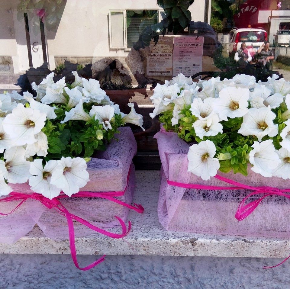 Le nostre aiuole di fiori