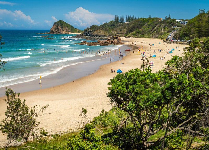 A Beach with a lot of People on it and Trees in the Foreground — Shearwater Engineering in Port Macquarie, NSW