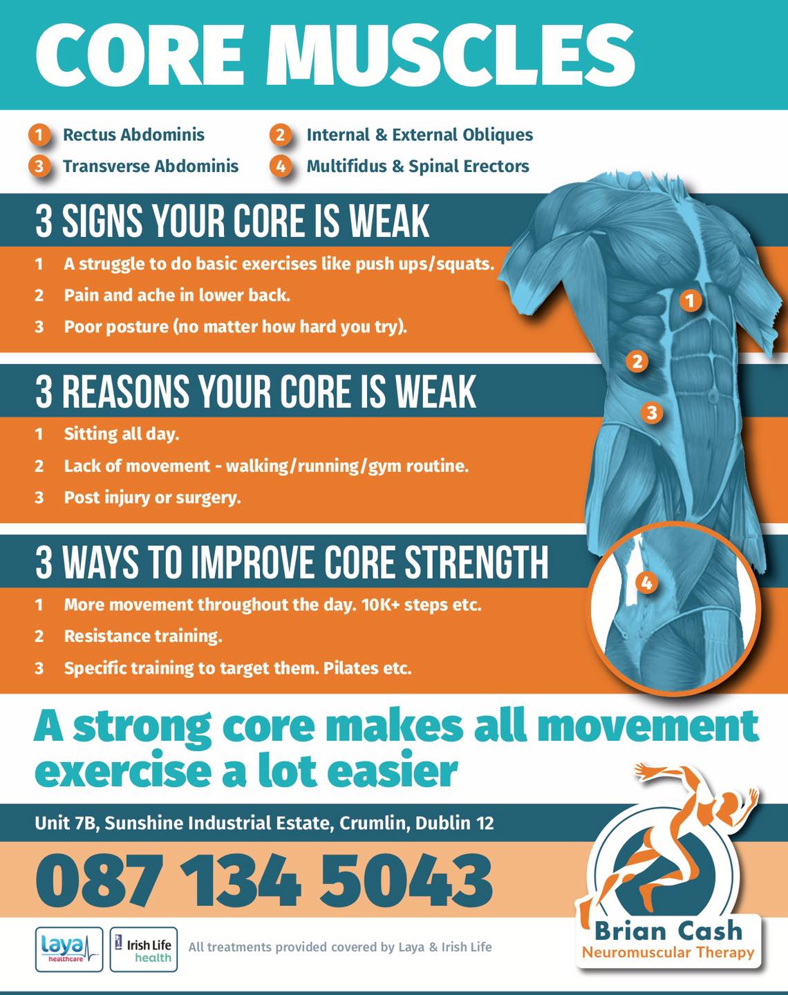 Core Muscles Information 