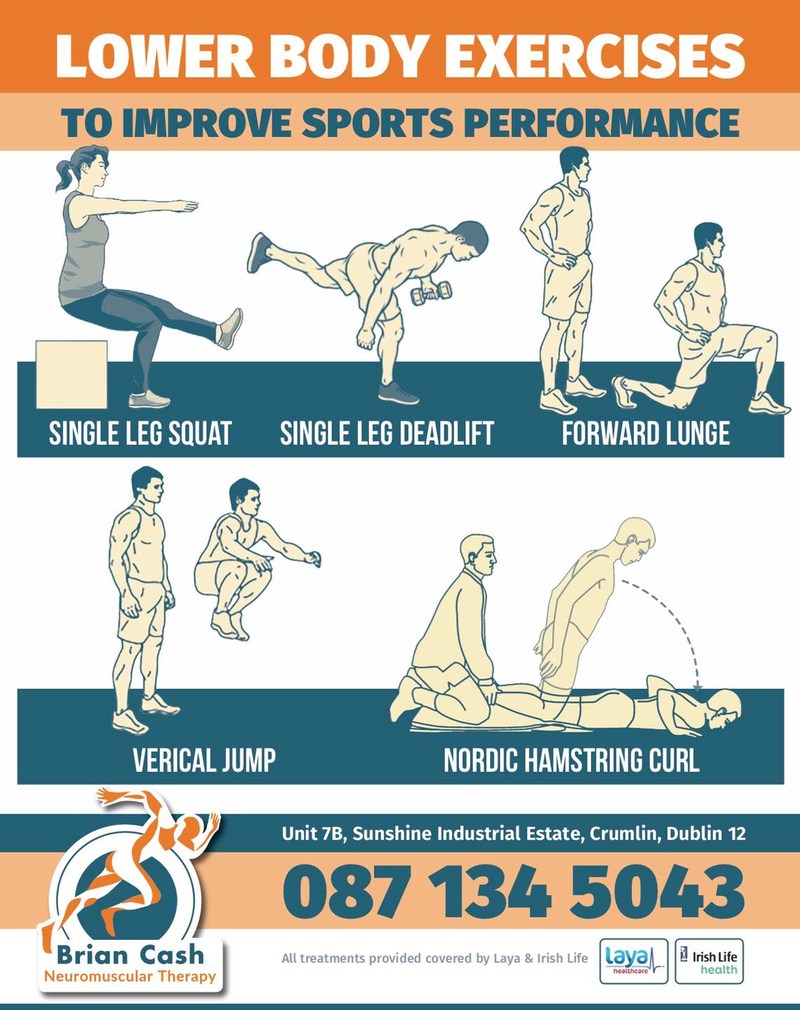 Lower Body Exercises Information 