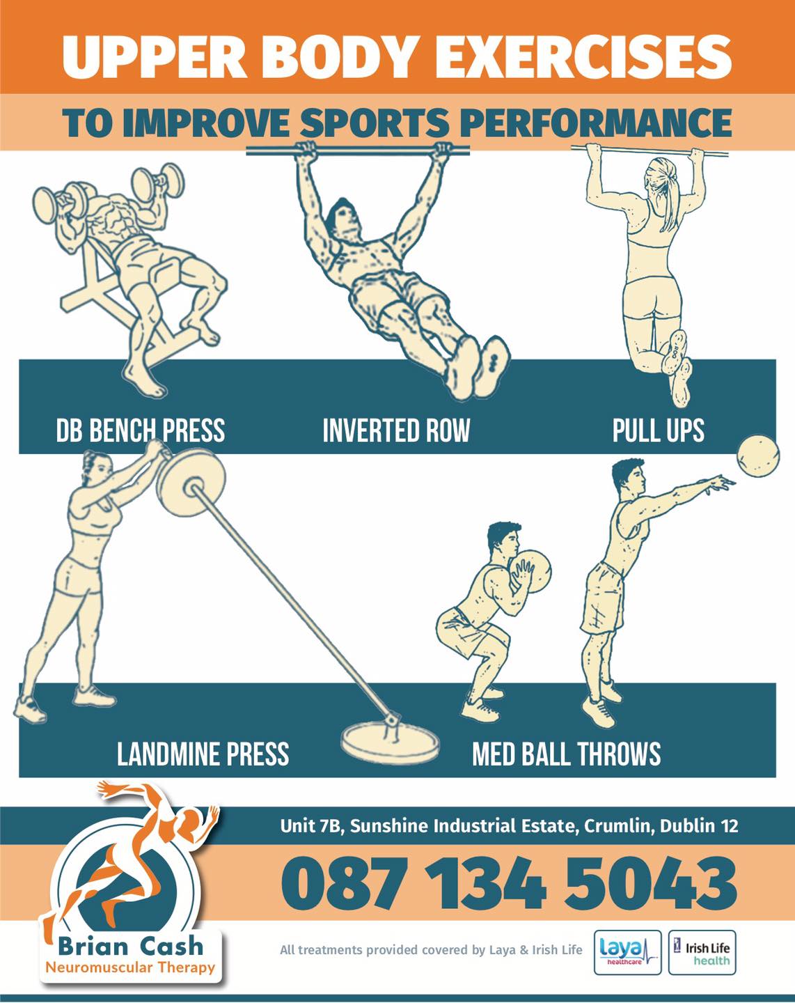 Upper Body Exercises Information 