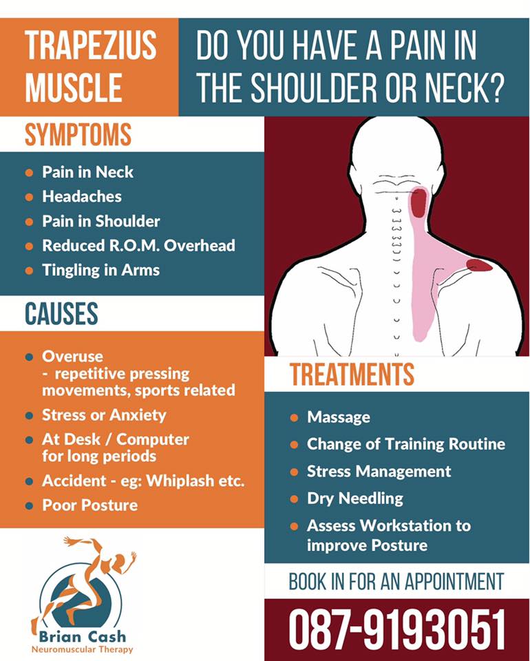 Shoulder or Neck Pain? 