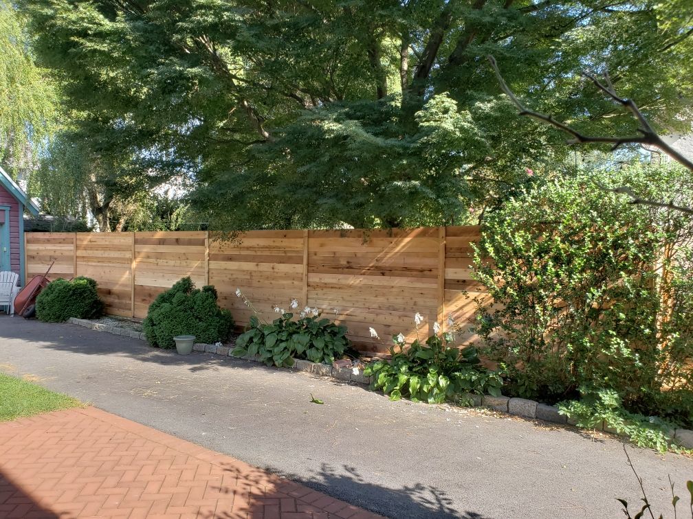 A wooden fence is surrounded by trees and bushes in a backyard.