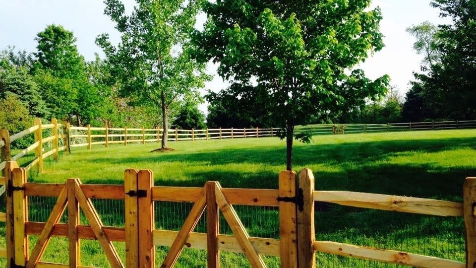 A wooden fence surrounds a grassy field with trees in the background