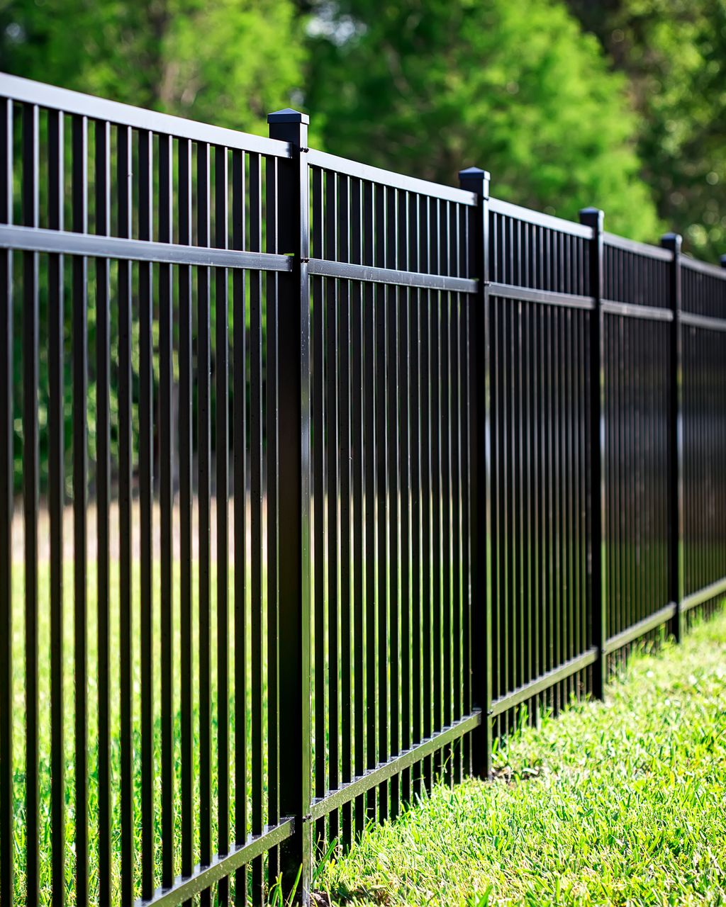 Black aluminum fence on a green lawn surrounding property grounds and green foliage.