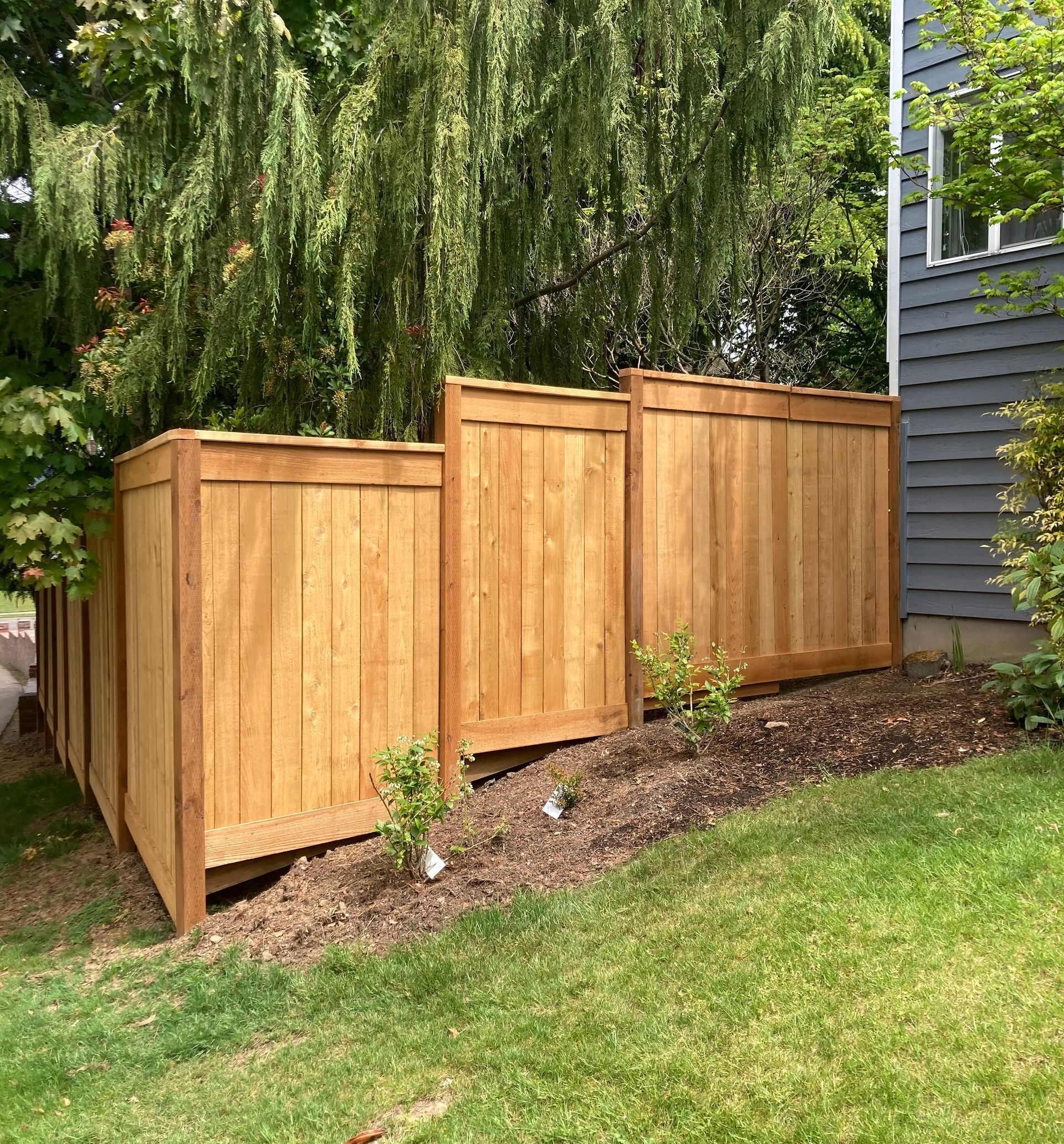 Newly installed wooden privacy fence along a landscaped yard. Newly installed wooden privacy fence along a landscaped yard.