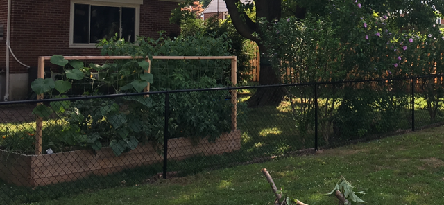 View Of Chain Link Fence — Hatboro, PA — Main Street Fence