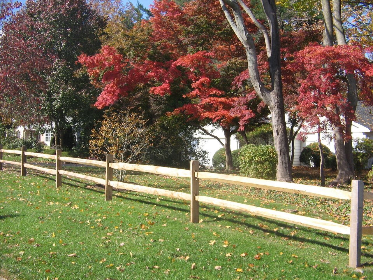 Rail Fence Beside Tree — Hatboro, PA — Main Street Fence