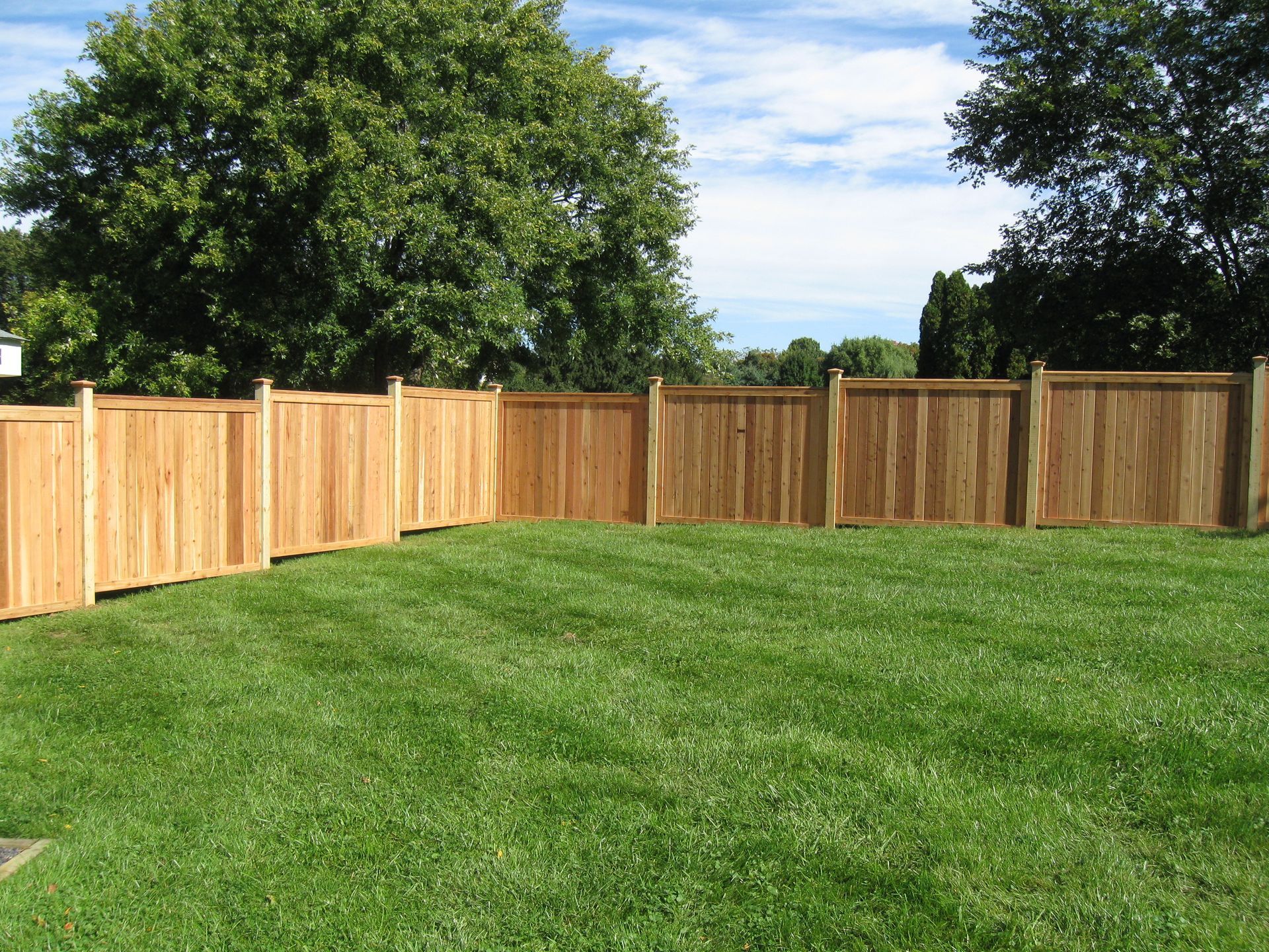 A wooden fence surrounds a lush green lawn.