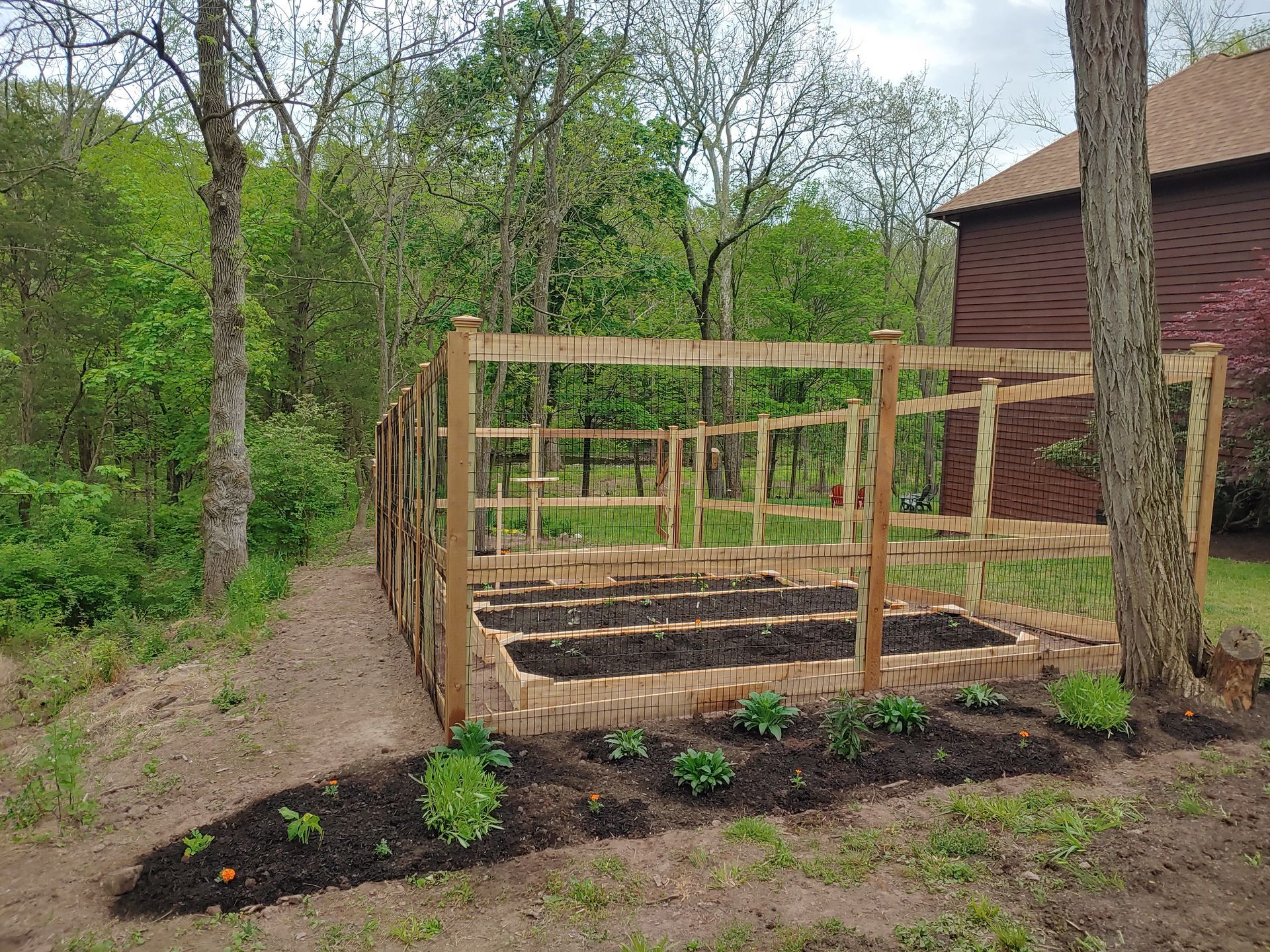 A wooden fence surrounds a garden with lots of plants growing in it.