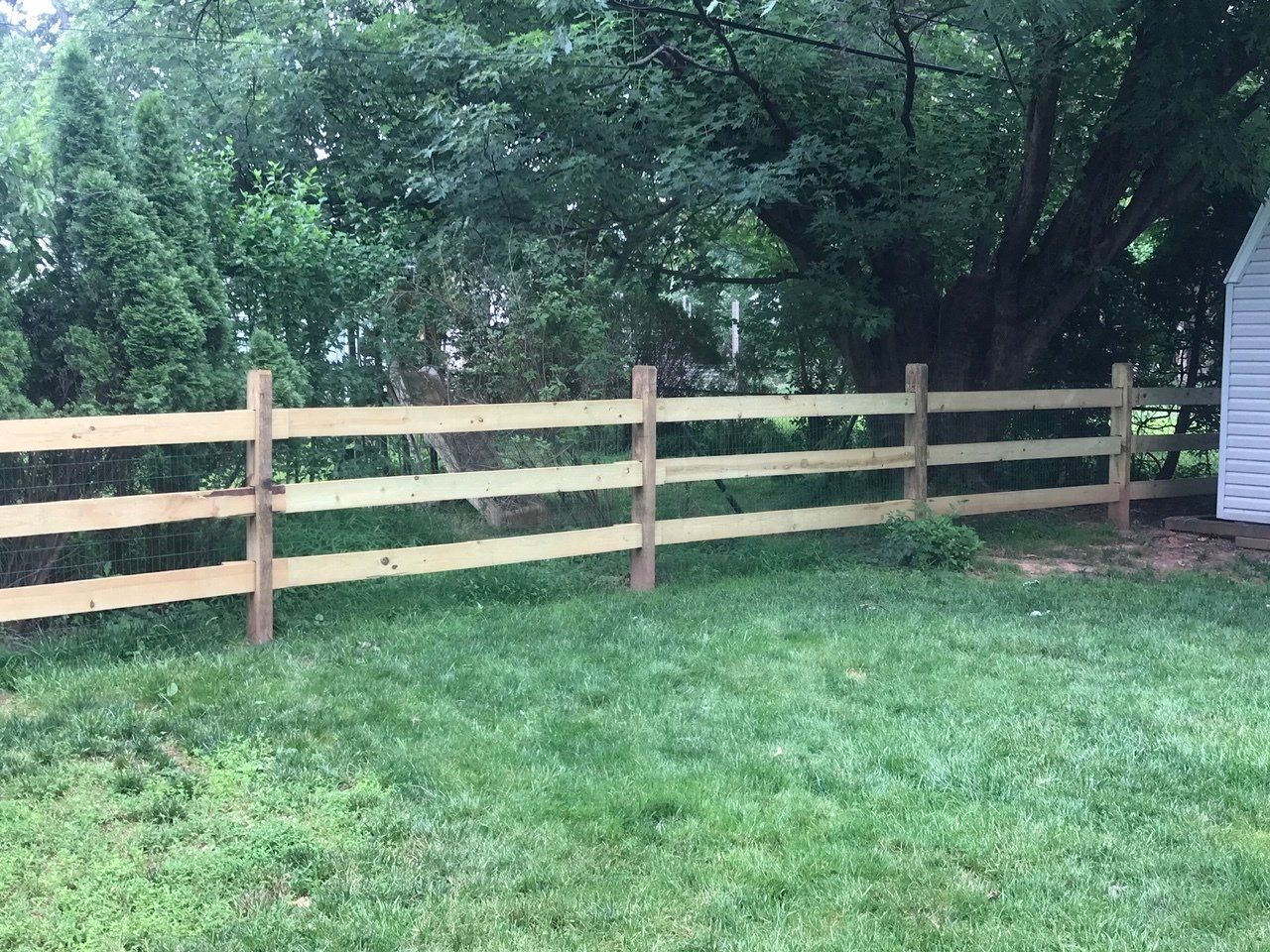 Rail Fence Beside Trees — Hatboro, PA — Main Street Fence