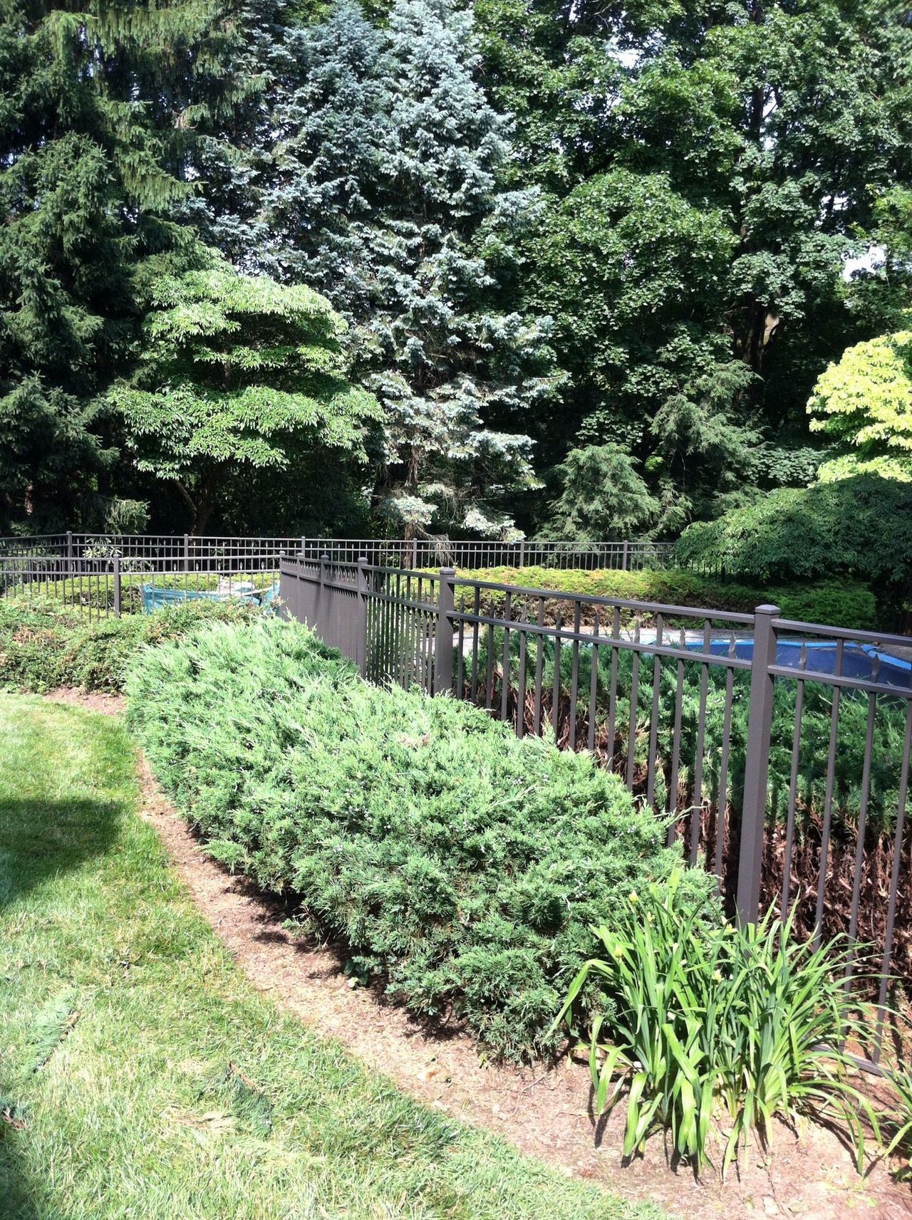 Aluminum Fence With Plants — Hatboro, PA — Main Street Fence