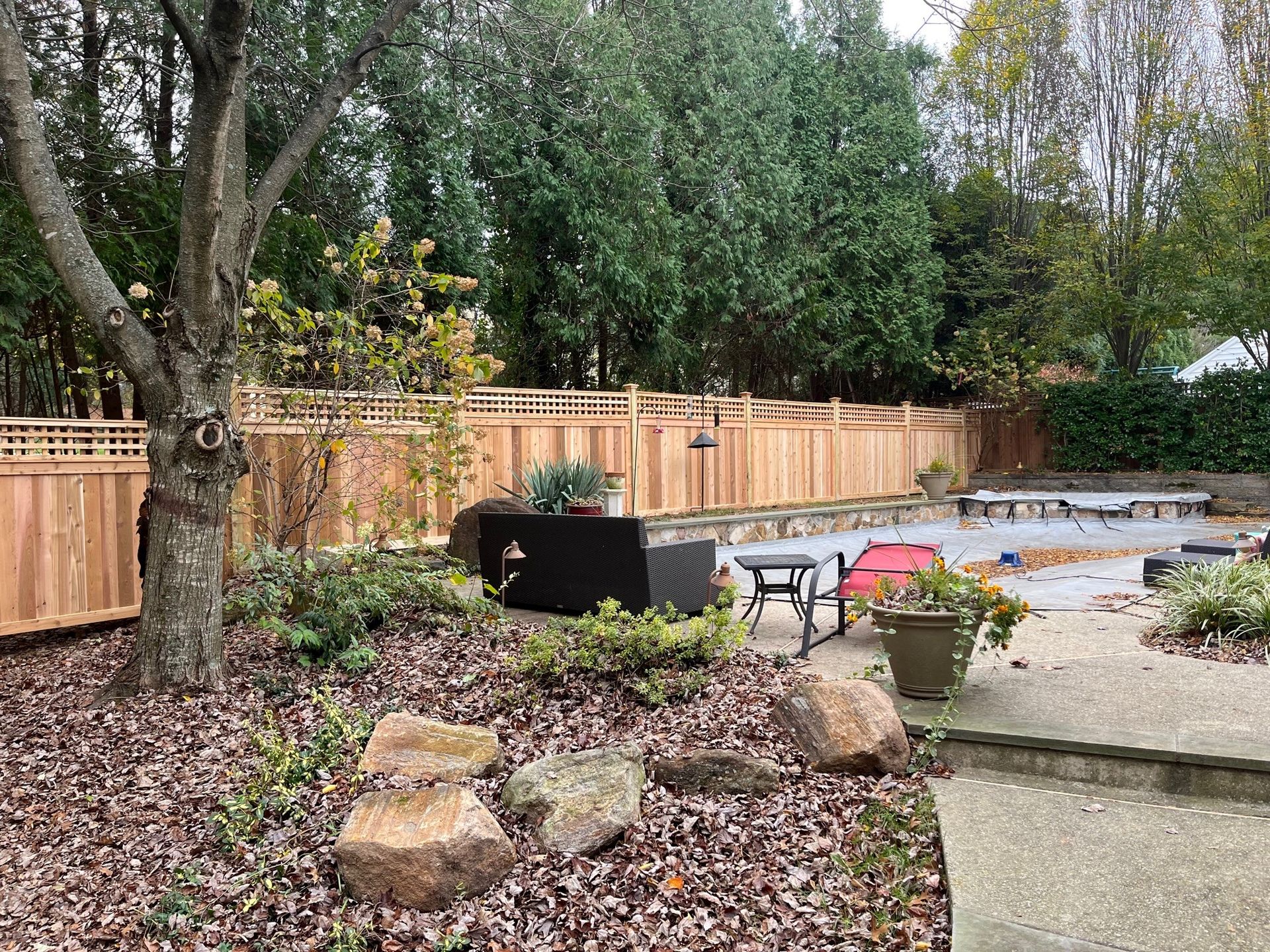 A backyard with a wooden fence and a pool.