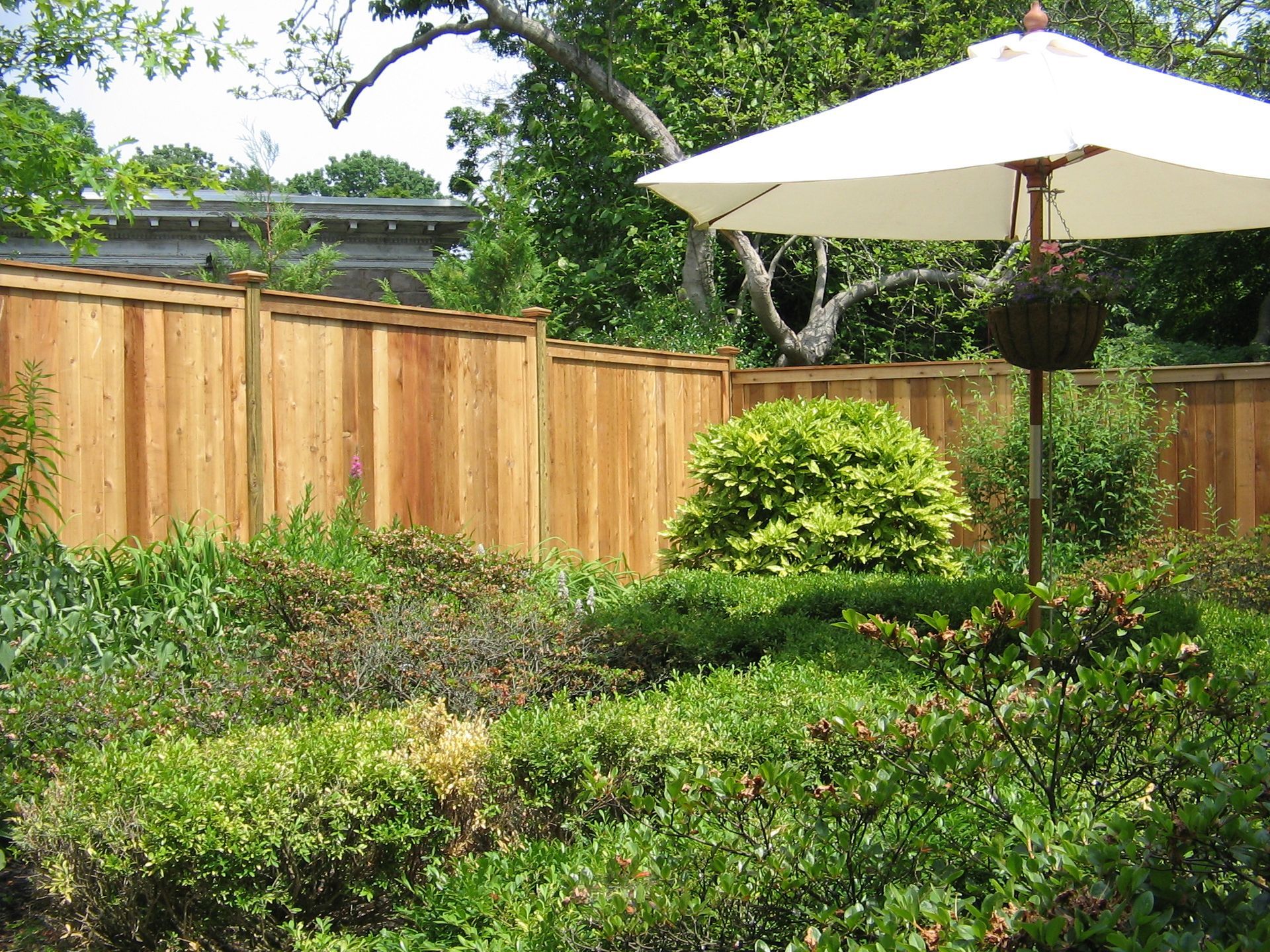 A garden with a wooden fence and a white umbrella