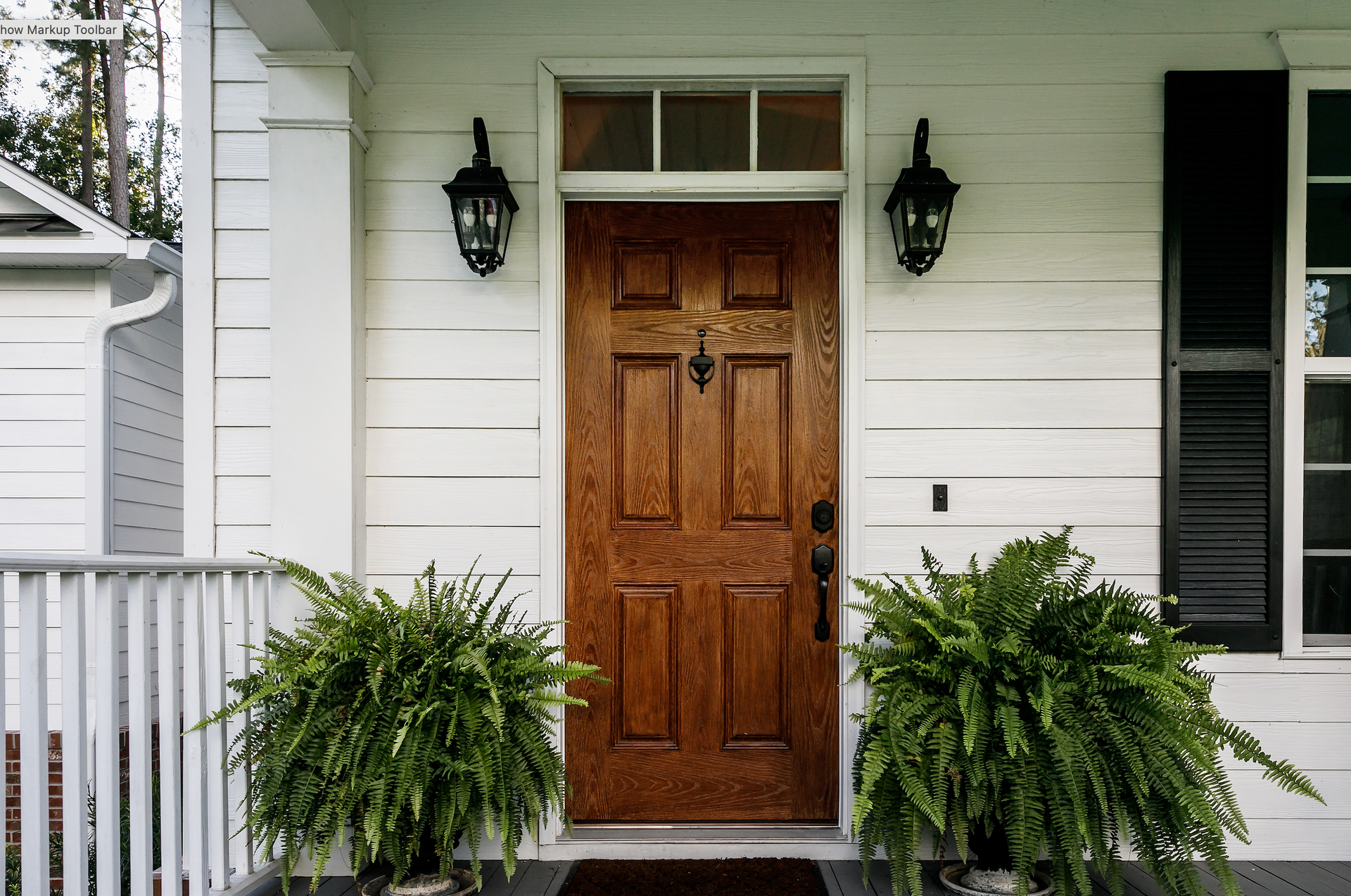The front door of a house with ferns in front of it.