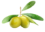 icona olive