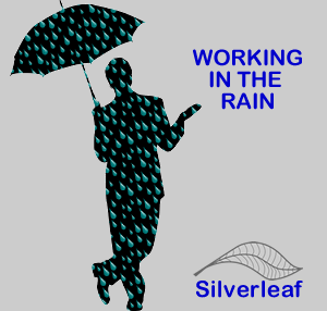 Silverleaf - We work in the rain - so you don't have to