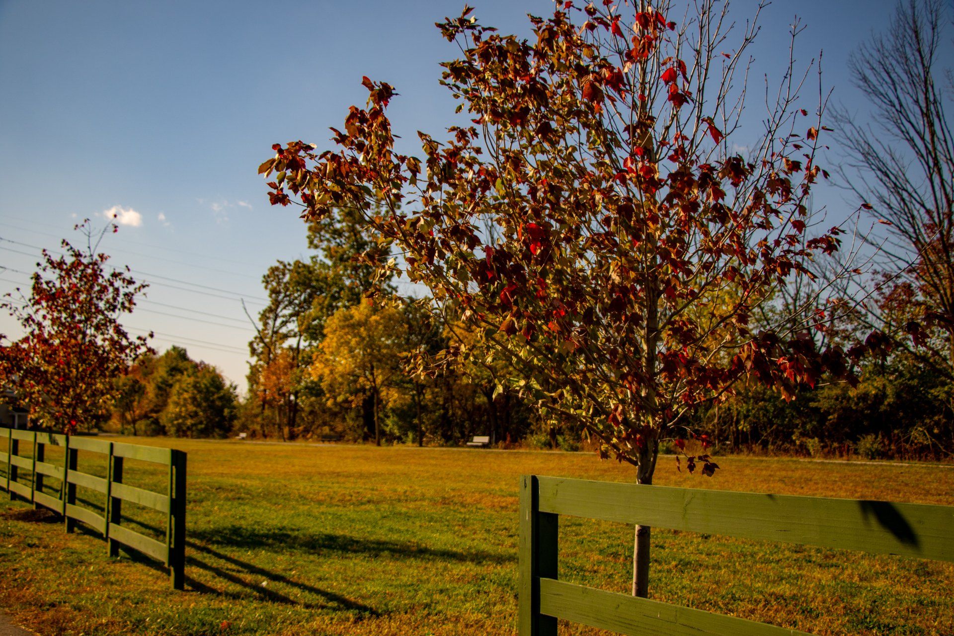 Exterior and Clubhouse Photos