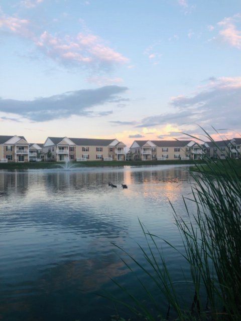 Pond at The Square at Latham Park